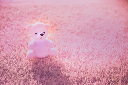 Smiling Teddy bear best friends toy for kids. Adorable Fluffy Brown Teddy Bear happy in green park. Happy fun friend fluffy cute toy doll sitting at garden. Stuffed Toy for kids Family childhoodの写真素材