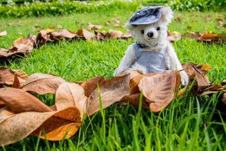 Teddy bear sitting in the park. family Concept.の写真素材
