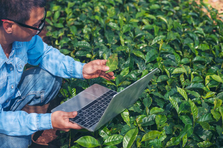 Smart farmer hands using laptop eco green farm sustainable quality control. Close up Hand typing laptop computer quality control plant tree. Farmer use technology checking eco Farmland biotechnologyの写真素材