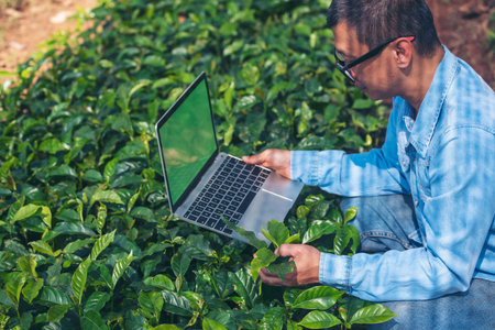 Smart farmer using laptop in eco green farm sustainable quality control. Close up Hand typing laptop...