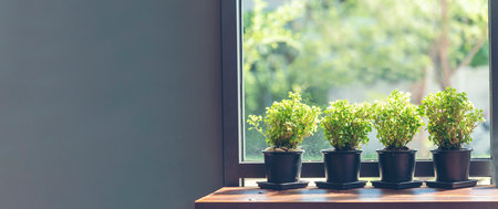 Banner Plant pot office decor on wood table. Panorama Green decorate home office desk. Green potted plant in springtime Fern bush green leaf foliage floral. Houseplant home decor with copy spaceの写真素材