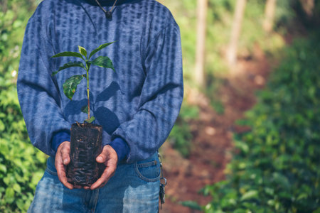 Smart farmer checking plant in eco green farm sustainable quality control. Close up Hand check quality control plant tree. Farmer cultivated planting in eco Farmland biotechnology. Green agricultureの写真素材