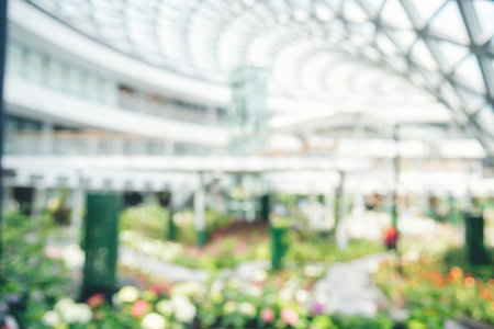 Blur background green park garden nature bright sunny forest. Blurry outdoor park in spring time glowing shinny day template with sunlight bokeh. Abstract blurred background banner copy space.の写真素材