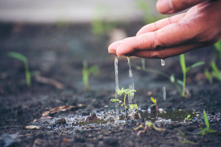 Eco green earth environment concept. Hand with growing tree on earth day with sunlight bokeh in...