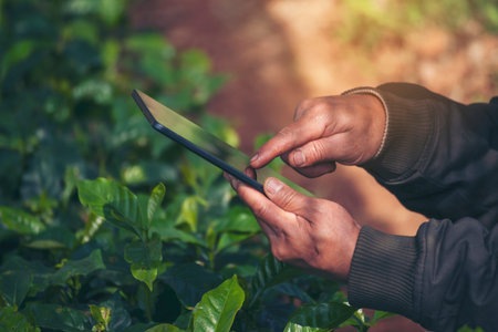 Smart farmer holding smartphone in eco green farm sustainable quality control. Close up Hand control...