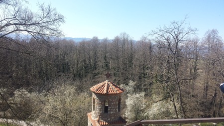 Saint Naum Monastery Forest Ohrid Macedoniaの写真素材