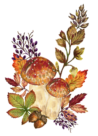 Watercolor botanical autumn and fall forest elements set hand painted illustration gouache on white backgroundの写真素材
