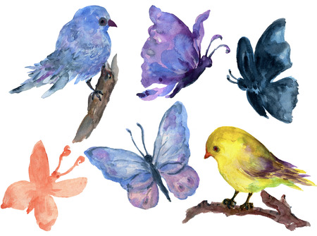 Hand drawn watercolor paintings vibrant butterfly and birds feather set Boho color style wings Aquarelle feather for background Vintage summer isolated spring artの写真素材