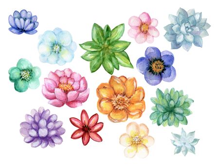 Hand drawn watercolor paintings Succulant flower and foliage leaves summer desert for background card wedding party Vintage element arrangementの写真素材