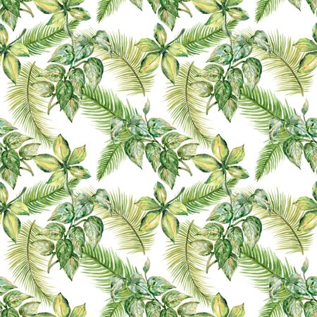 Watercolor illustration  Botanical leaves summer spring collection Set of wild and garden and abstract leaves arrangements hand painted on white backdroundの写真素材