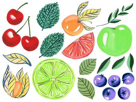 Watercolor Set fruits seasons spring summer botanical plants Hand-Painted Isolated on white backgroundの写真素材