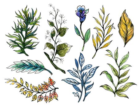 Hand drawn illustration outline black and colorful foliage leaves elements for your design textile, decorative paper, scrapbookの写真素材