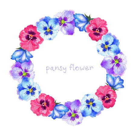 Watercolor pansy illustration rose wild flower herb leaves collection Set of garden and abstract elements arrangements hand painted bouquet wreath on white backgroundの写真素材