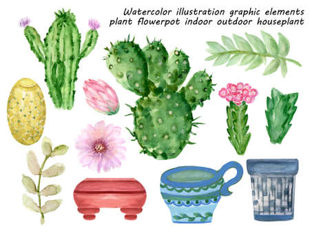 watercolor illustration graphic elements plant flower pot indoor outdoor cactus succulents hand paint on white backgroundの写真素材