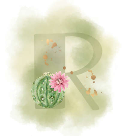 Uppercase waterscolor digital painting Cactus and Succulent botanical blossom foliage leaves plant alphabet font on white backgroundの写真素材