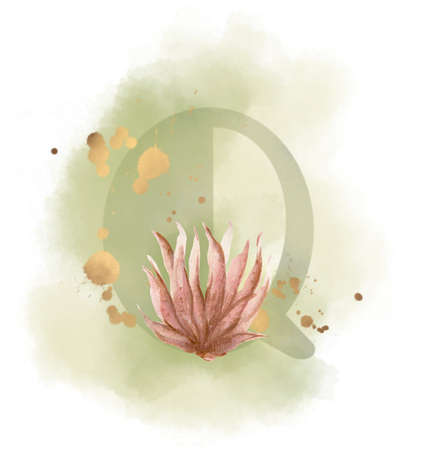 Uppercase waterscolor digital painting Cactus and Succulent botanical blossom foliage leaves plant alphabet font on white backgroundの写真素材