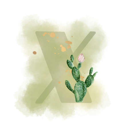 Uppercase waterscolor digital painting Cactus and Succulent botanical blossom foliage leaves plant alphabet font on white backgroundの写真素材