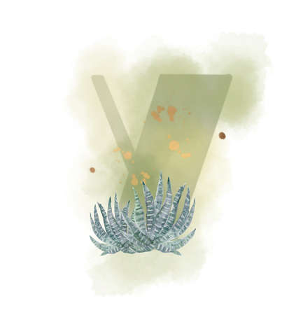 Uppercase waterscolor digital painting Cactus and Succulent botanical blossom foliage leaves plant alphabet font on white backgroundの写真素材