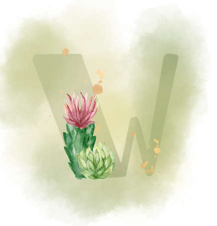 Uppercase waterscolor digital painting Cactus and Succulent botanical blossom foliage leaves plant alphabet font on white backgroundの写真素材