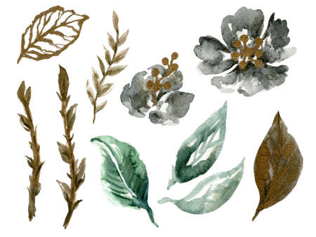 Roses; flowers; leaves; branches foliage Floral vintage splash elements Gold Black green illustration watercolor hand paint For design textiles; paper; wallpaper; backdropの写真素材