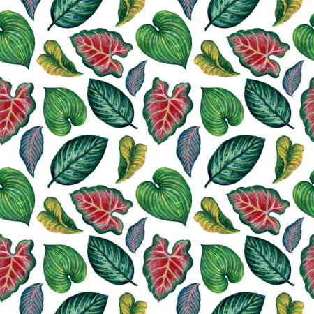 Anthurium, Caladium, Tropical  leaves, branches foliage seamless pattern illustration watercolor hand paint For design textiles, paper, wallpaper, backdropの写真素材