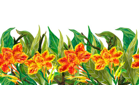 Watercolor illustration Botanical collection canna floral foliage leaves Set of wild and garden and abstract seamless pattern hand drawingの写真素材