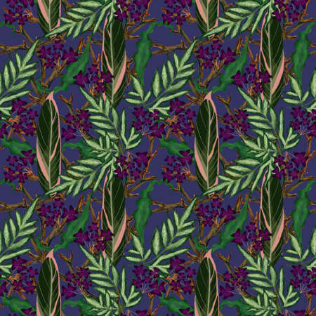 Hand painting watercolor illustrationinspired by ahouseplants oxalis tropical rainforest foliage leaf plants seamless pattern repeatの写真素材