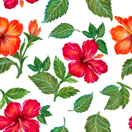 Hand painting seamless background pattern inspired by Tropical houseplants Hibiscus flower...