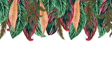 Watercolor illustration Botanical tropical leaf tree houseplants frame invitation label border...