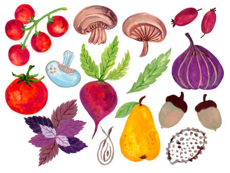 Mixed fruits vegetable plants herbal oak berries isolated elements on the white backgroundの写真素材