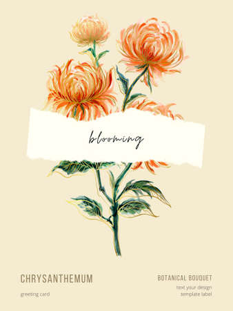 Watercolor set of chrysanthemum flowers, hand painted floral illustration ifor greeting template label banner border cardの写真素材