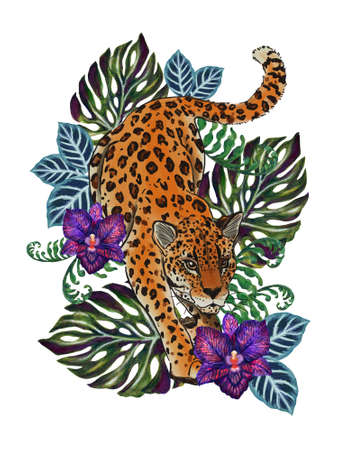 Jungle, animals exotic illustrations of tiger leopard, palm leaves,  tropical leaves, monstera, orchid purple violet color and branch foliage Drawings element isolated on whiteの写真素材
