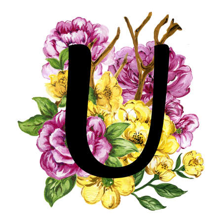 Floral ornate letters flowers pink, yellow vintage font and flower ornaments alphabet. Royal ornate abc, flourishes decor elegant letter or antique alphabet illustration setの写真素材