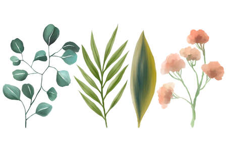 Watercolor gouache wild field botabical leaf foliage arrangement ornament hand drawn illustration element isolated on white backgroundの写真素材