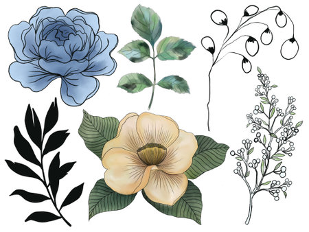 Traditional Christmas outline drawing illustrations of holly, mistletoe, Christmas tree, rose, bloom,blossom,foliage Christmas decoration elements for banners, greeting cards and invitations.の写真素材