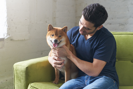 Young hansome caucasian man wearing blue t-shirt, sitting on green sofa, hugging, snuggling and looking on his lovely Shiba Inu dog and smiling at home. Close friendship between owner and pet.の写真素材