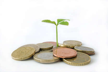 Growthの写真素材