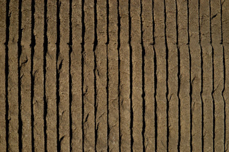 Cement walls