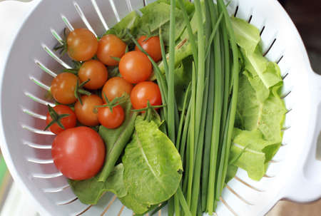 Fresh garden harvest from backyard garden.