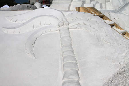 Palm tree carved out sand at the beach.の写真素材