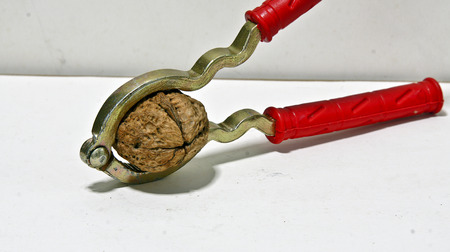 Walnuts on white backgroundの写真素材