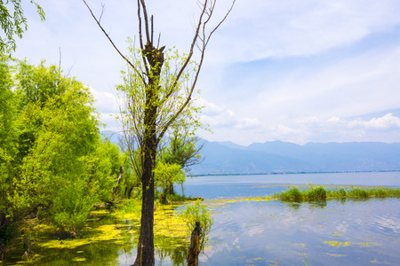 Erhai Lake sceneryの写真素材