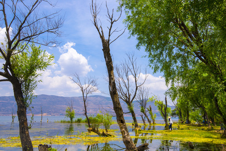 Erhai Lake sceneryの写真素材