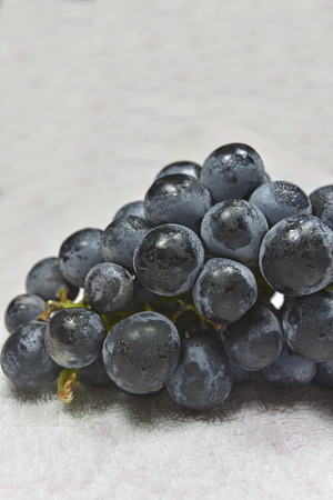 closeup shot of grapesの写真素材