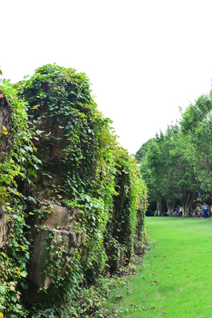 Greenery のeditorial素材