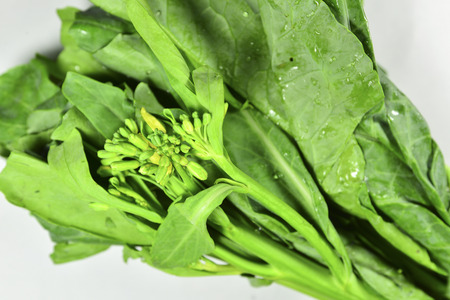 Chinese broccoli or Chinese kale.の写真素材