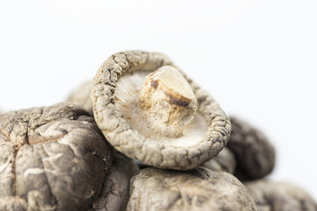 Dried mushroomsの写真素材