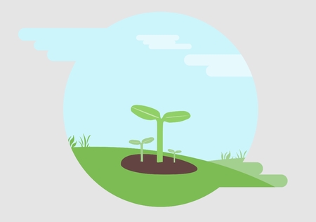 Germination and growth of seedlingsのイラスト素材