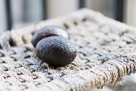 Avocadoの写真素材