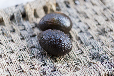 Avocado